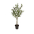 Olivos - comprar online
