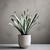 SANSIVERIA GRIS (Sansiviera) - comprar online
