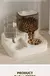 Alimentador automático para gatos - loja online