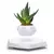 Levitando ar bonsai pote de flores plantadores suspensão magnética vaso flutua