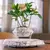 Imagem do Levitando ar bonsai pote de flores plantadores suspensão magnética vaso flutua
