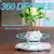 Levitando ar bonsai pote de flores plantadores suspensão magnética vaso flutua