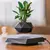 Imagem do Levitando ar bonsai pote de flores plantadores suspensão magnética vaso flutua