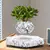 Levitando ar bonsai pote de flores plantadores suspensão magnética vaso flutua