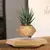 Levitando ar bonsai pote de flores plantadores suspensão magnética vaso flutua - Dommi
