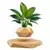 Levitando ar bonsai pote de flores plantadores suspensão magnética vaso flutua - Dommi