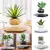 Levitando ar bonsai pote de flores plantadores suspensão magnética vaso flutua - comprar online