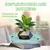 Levitando ar bonsai pote de flores plantadores suspensão magnética vaso flutua na internet