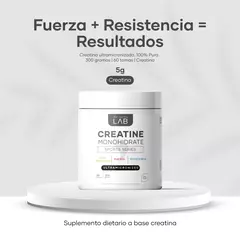 Creatina Monohidratada - 100% Pura - 60 Porciones - comprar online