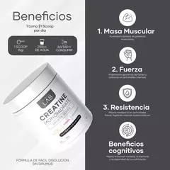 Creatina Monohidratada - 100% Pura - 60 Porciones - VitaPlus Market