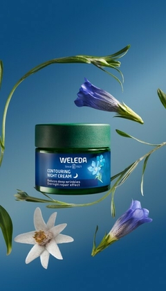 Crema de Noche Redensificante Genciana Azul y Edelweiss - Vita Plus Market