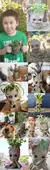Imagem do Vasos modernos para flores pote Groot
