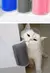 MASSAGEADOR PARA GATOS na internet