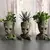Vasos modernos para flores pote Groot