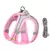 Coleira para cães pequenos ajustável - AgiliShop