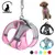Coleira para cães pequenos ajustável - AgiliShop