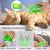 MASSAGEADOR PARA GATOS - loja online