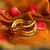 Bracelete Delicatus - comprar online