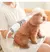 Vento Modelagem Soprador de Pelo de Cachorro Artefato, Pente De Pelúcia, Ventil - comprar online