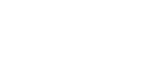 Madre Raiz