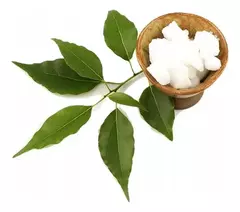 Bálsamo Aceite Chino Verde Picaduras Dolores Cabeza