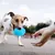 Juguete Pelota Rugby Resistente Mordillo Perros Chifle - Jalomi Shop