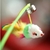 Juguete Gato Cañita Varita Cascabel Raton Plumas Extensible - comprar online