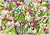 MARGARIDA ME QUER - comprar online