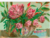 PEONIAS - comprar online