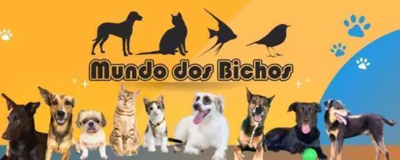 MundodosBichos