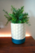 Vaso Decorativo Fumiko Texturizada Kumiko – Design Japonês - loja online