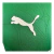 Camisa Palmeiras I 25/26 - Jogador Puma Masculina - Verde - CAMISAS DE FUTEBOL  I Foot Street 