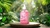 Juicy Girl - comprar online