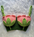 Top cropped tulipa - comprar online