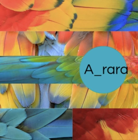 A_rara