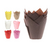 Tulipa Color - comprar en línea