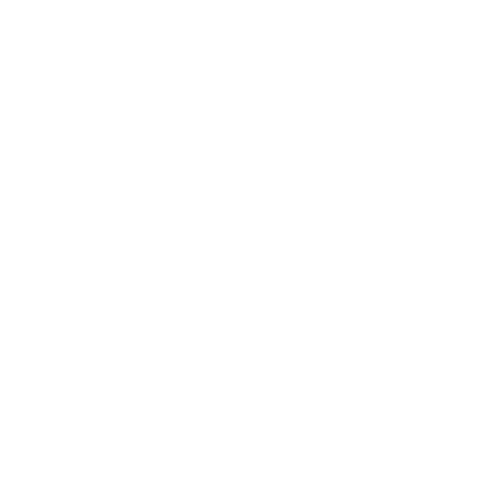O Lopes 96