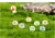 20 peças briquetes luminosos elfos bola preta sprite pato estatueta decoração - comprar online