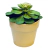 Vaso Liso Cerâmica Creme - Agrojardins