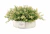 Vaso Arranjo Premium Blanc Botanique Provence M - comprar online