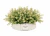 Vaso Arranjo Premium Blanc Botanique Provence M - Loja Agrojardins