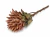 Alcachofra Imperial Terracota Premium – Haste 75cm na internet