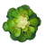 Vaso Liso Cerâmica Creme - Agrojardins - comprar online