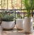 Vaso Brut 47 - Japi - Loja Agrojardins