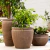 Vaso Antique 44 - Japi - Loja Agrojardins