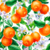 TRICOLINE DIGITAL TANGERINA COM FOLHAS E FLORES FUNDO BRANCO REF:9010-E063
