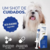 Suplemento Promun Defense Boost Dog Organnact 3 ml - comprar online
