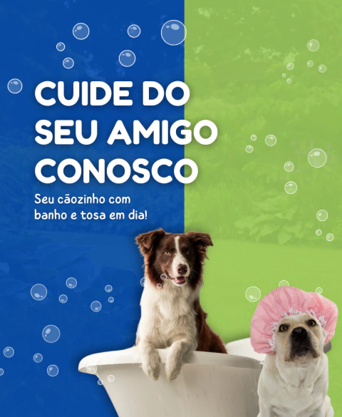 Carrossel 1