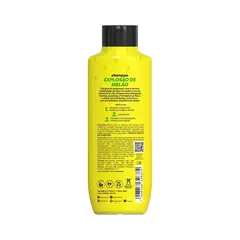 Hidra Kit Shampoo+Condicionador Melao 300Ml Salon Line na internet