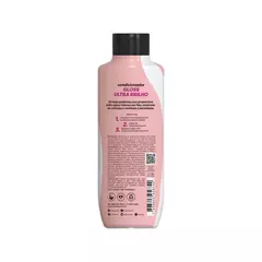 Hidra Kit Shampoo+Condicionador Ceramidas Gloss Ultra Brilho 300Ml Salon Line - loja online